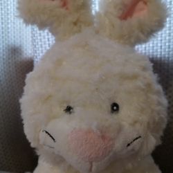 Bunny