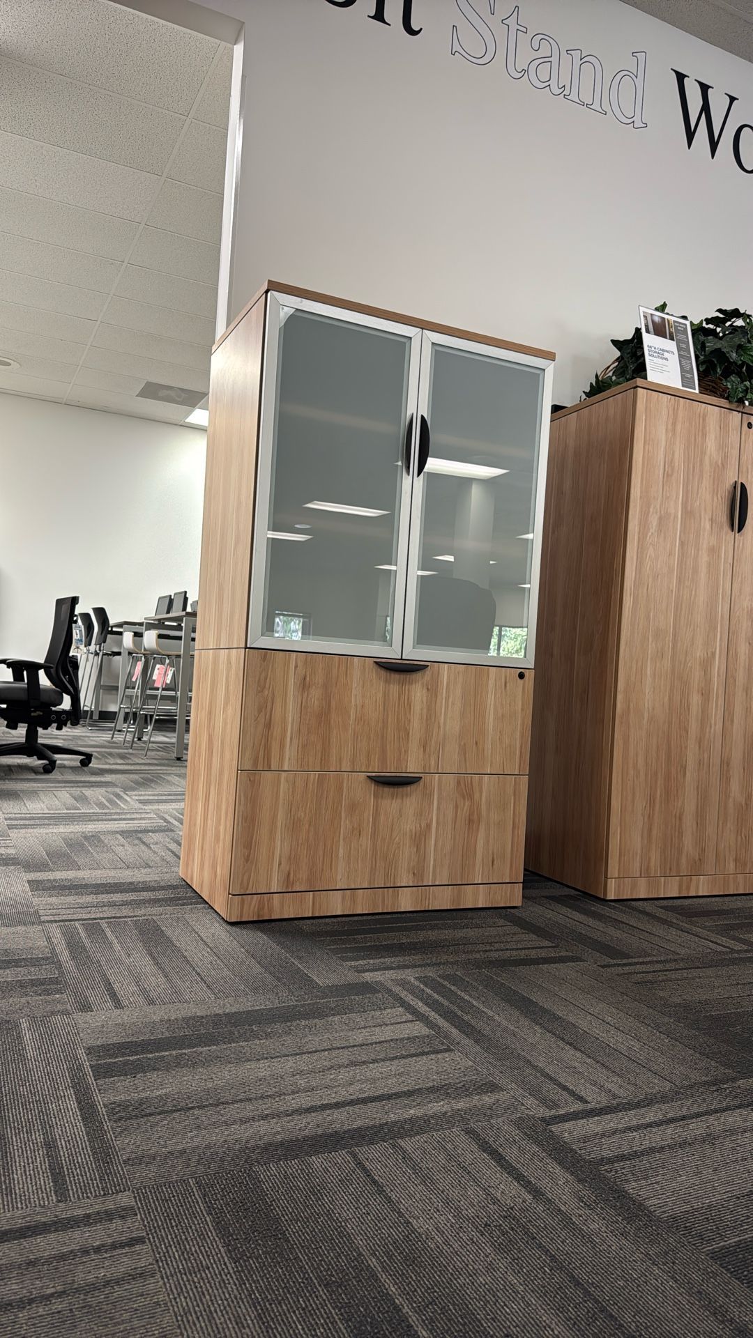 Storage Cabinet | File Cabinet