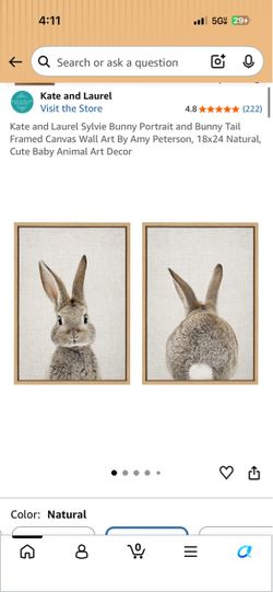 Bunny Portrait and Bunny Tail Framed Canvas Wall Art