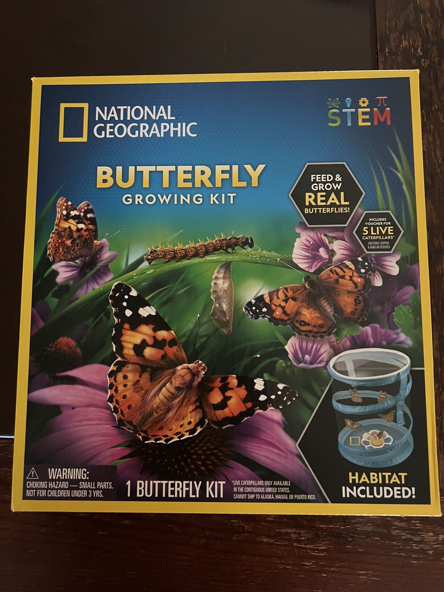 National Geographic Butterfly Growing Kit