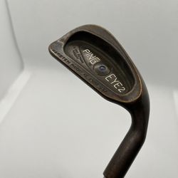 Ping Eye 2 BeCu Beryllium Copper 4 Iron Blue Dot Steel Shaft 
