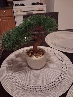 Artificial Bonsai Tree in White Pot
