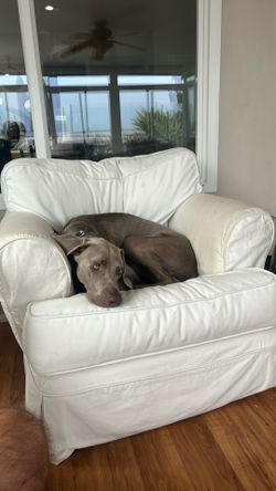 Small couch and chair