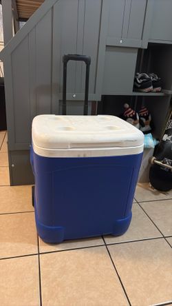 Igloo cooler