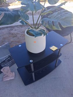 Plant