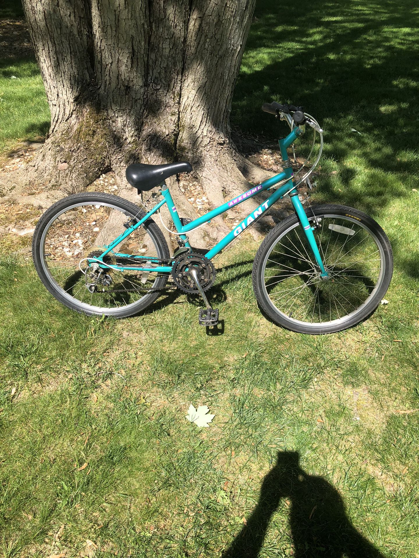 24” Giant Mountain Bike (new Tires)