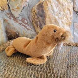 Walrus TY Plush 