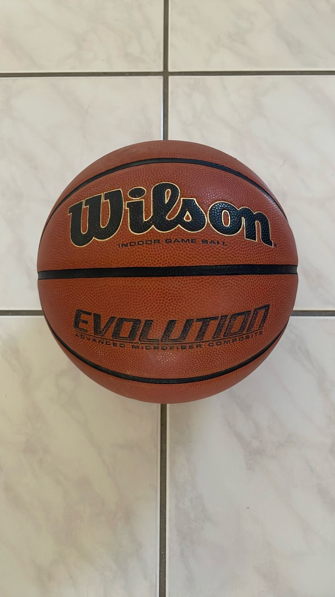 Wilson Evolution Indoor Basketball