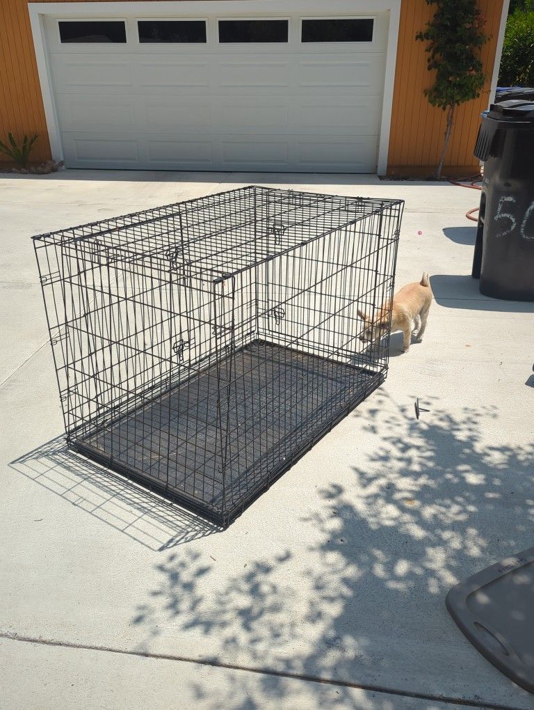Large Dog Crate 48 In By 30 In