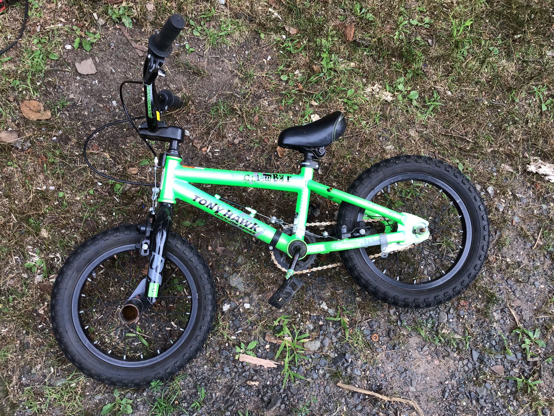 Tony Hawk 14” BMX bike, stainless steel chain, pegs on wheels, tuned up, front and rear brakes. Pegs on wheels make it fun bike