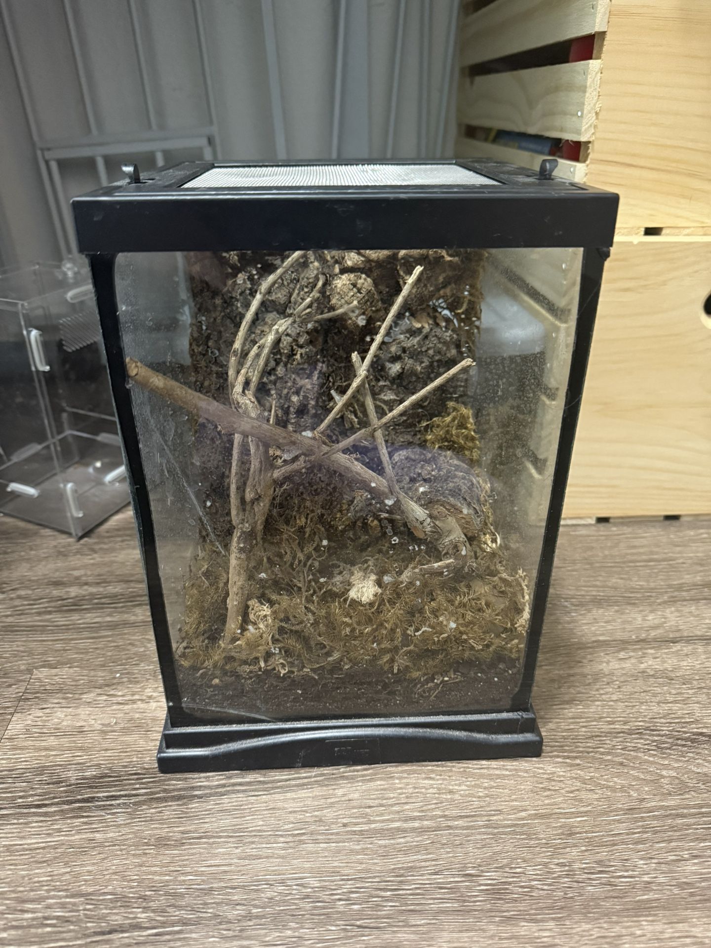 Reptile/Insect Tank 
