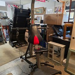 Bowflex Xtreme SE