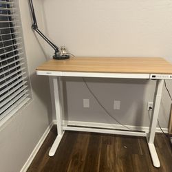 Height Adjustable Electric Standing Desk