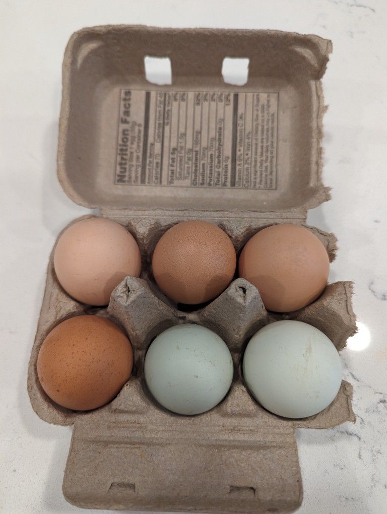Farm Fresh Eggs