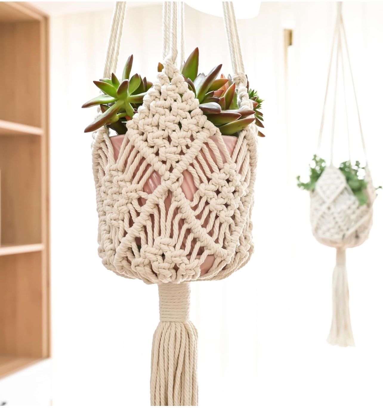 Plant Hanger