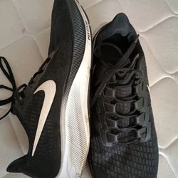 Men's Nike Zoom Pegasus 37.