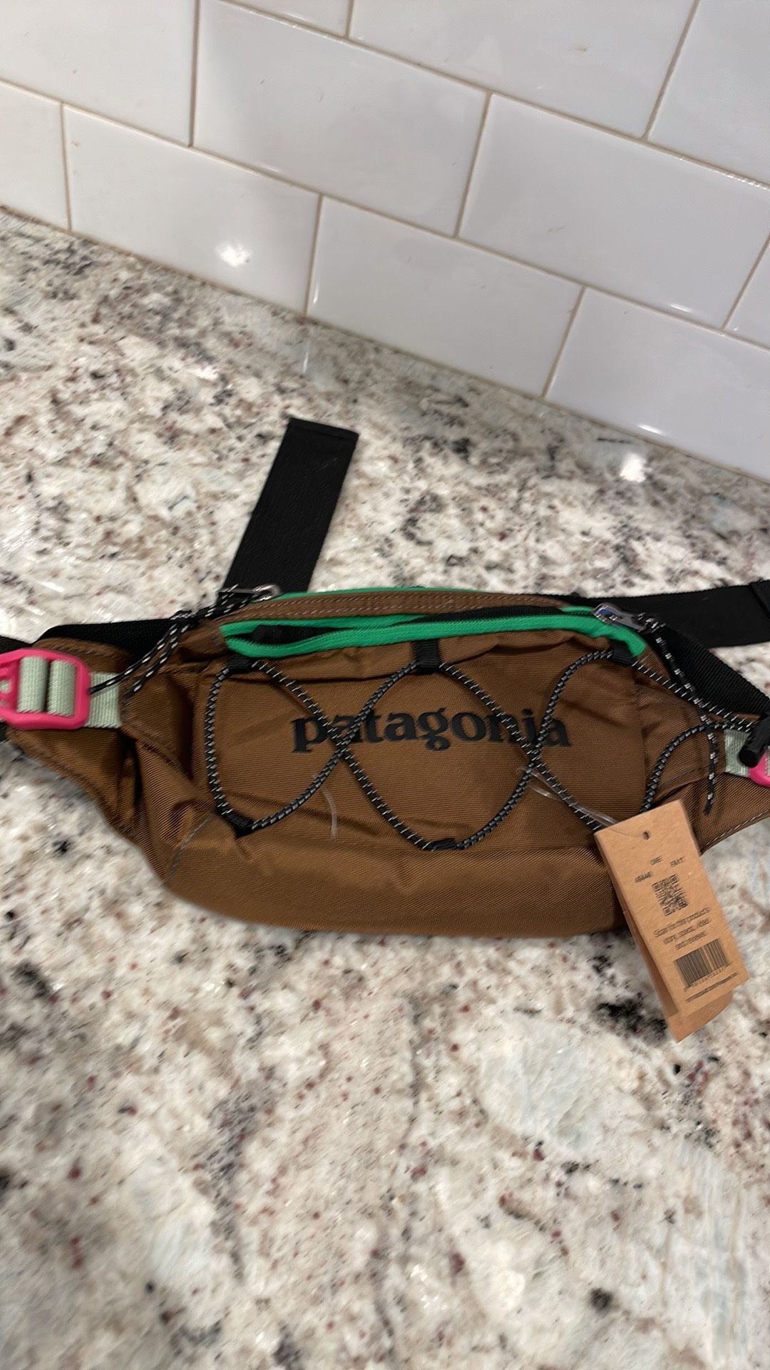 Patagonia Fanny Pack