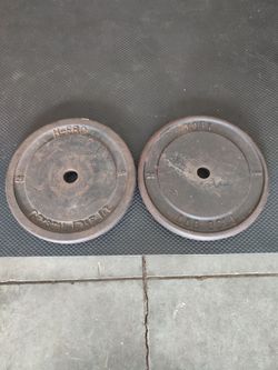 Weight plates pair of 25lbs