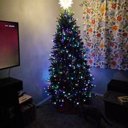 2 Guys Needed For Moving 