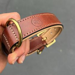 Padded genuine leather dog collar (brand new $30+ Value)
