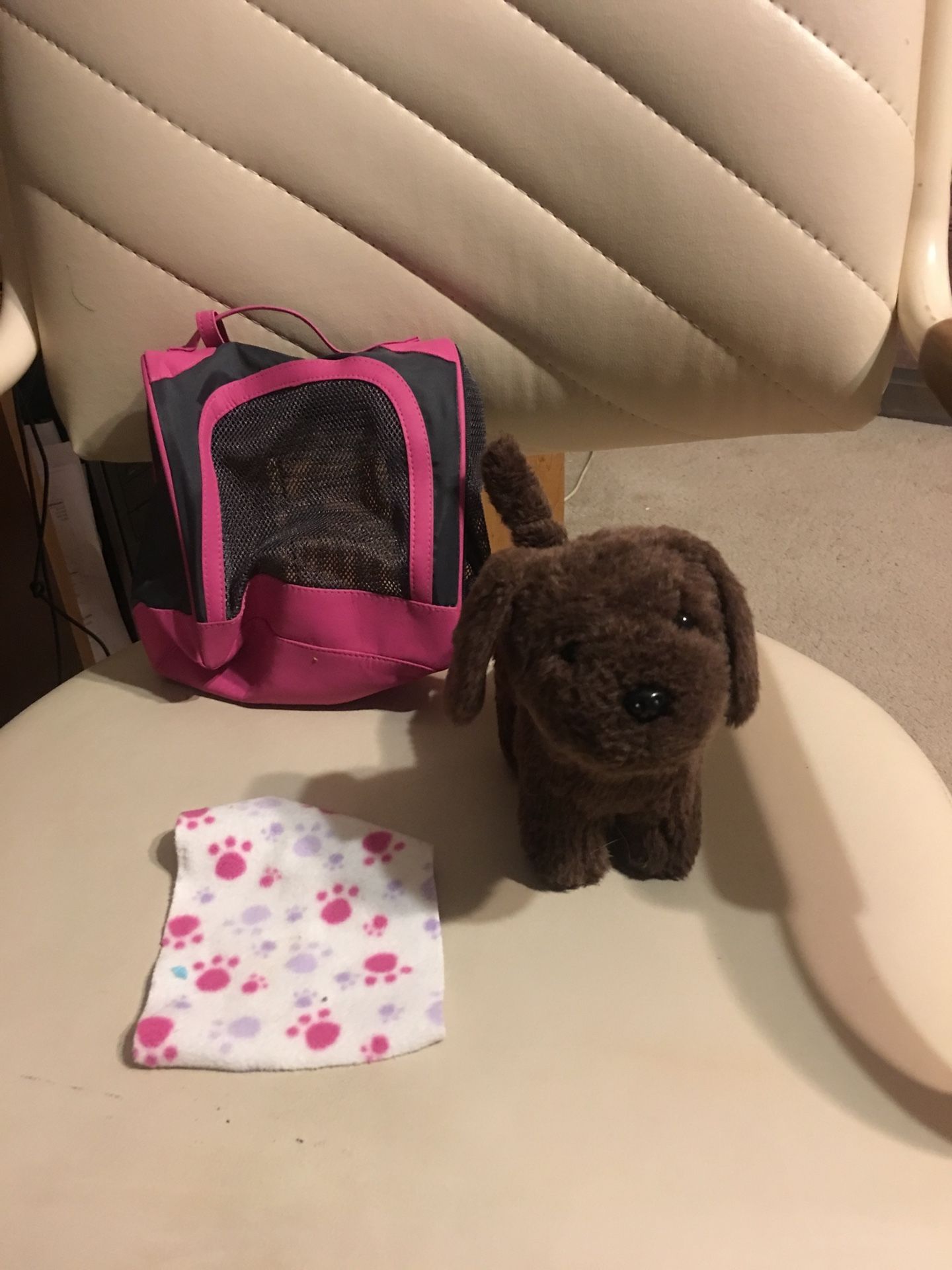 American girl Pet Carrier And chocolate Dog 