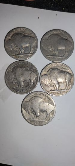 Buffalo Nickel Collection 