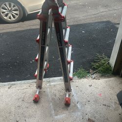 6ft Ladder
