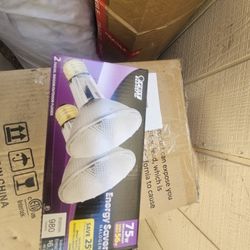  light bulbs Halogen  75 W