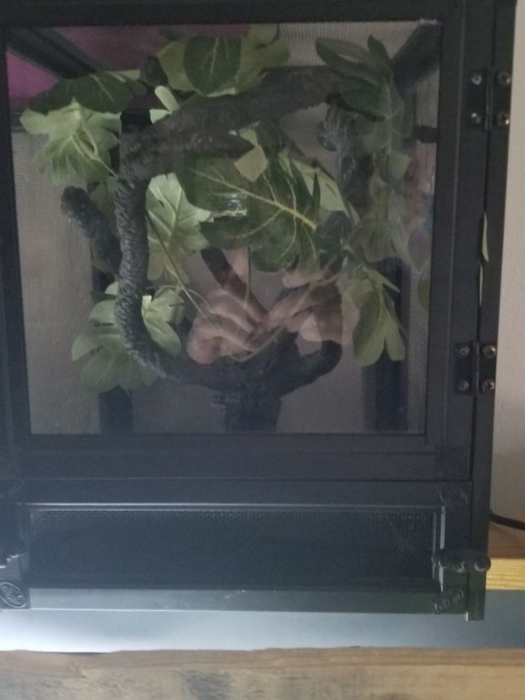 Zoo Med Cage