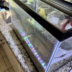 10 Gallon Tank 