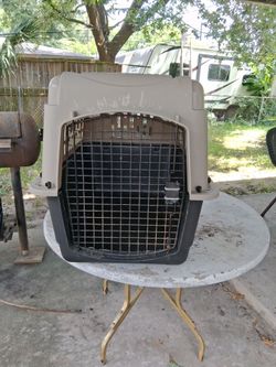 Plastic Dog Carrier