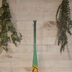 Easton Hype Fire USA Youth Bat 2026 (-11)