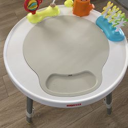 Skip Hop Activity Table (6 Month Old Baby And Up)