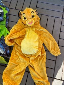 Simba costume
