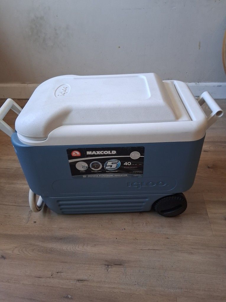 Egloo Cooler
