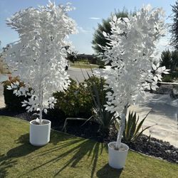 White artificial Ficus Tree