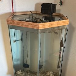Fish Tank 