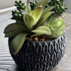 Artificial Succulent