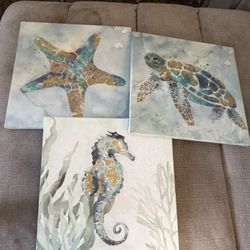 Set De Cuadros Decorativos 