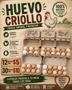 Criollo
