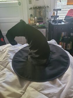 Witches Hat Halloween