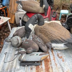 2 Large Geese And 5 Ducks With Weights 
