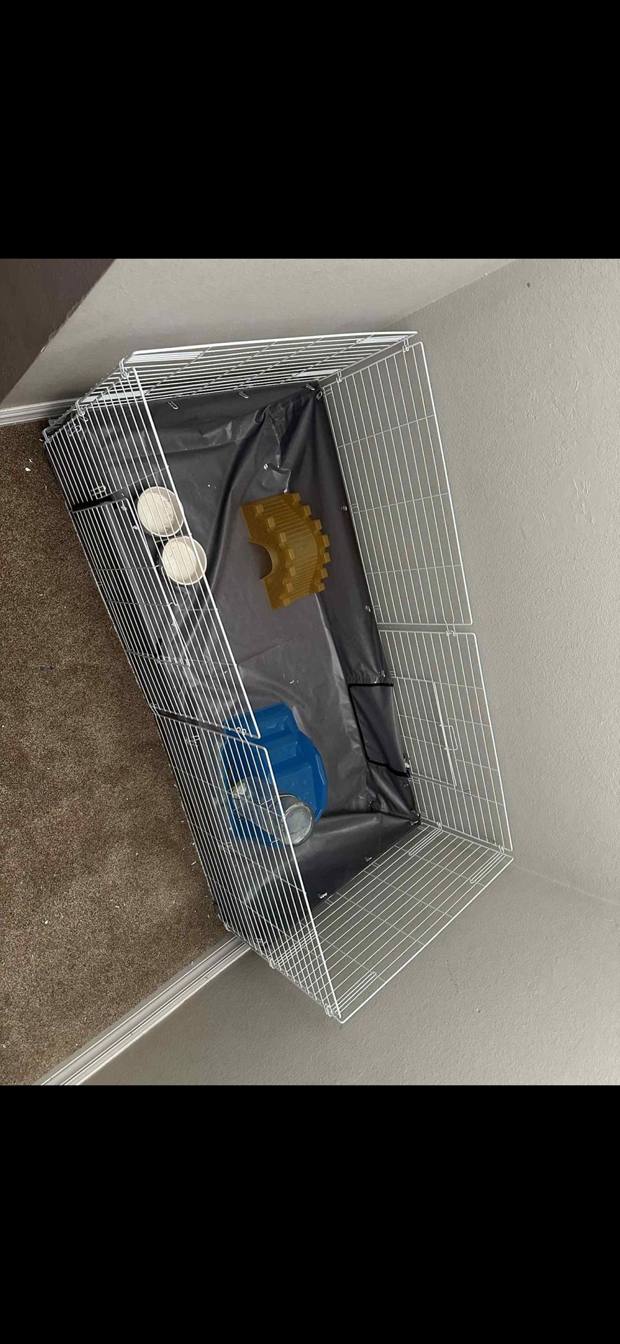 Guinea Pig Cage