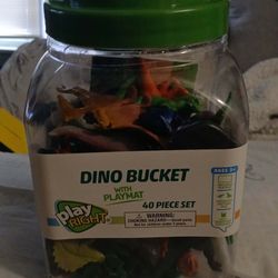 Dino bucket with playset