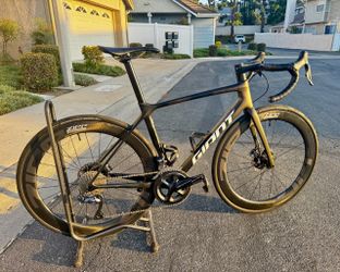 Fully Custom 2021 Giant TCR Advanced Pro Disc | Medium |