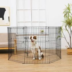 Dog Play Pen