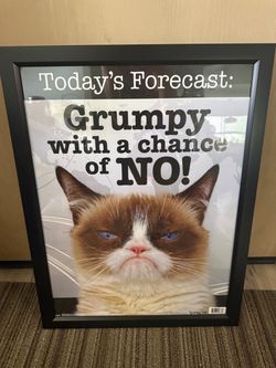 Grumpy cat framed poster