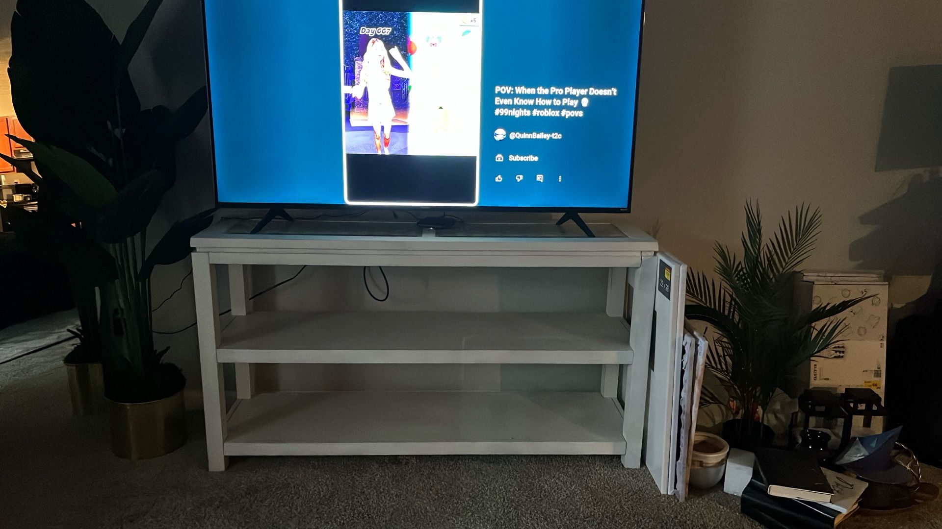 White Entryway/TV Stand