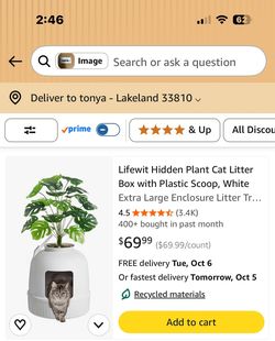 Cat box with a tree