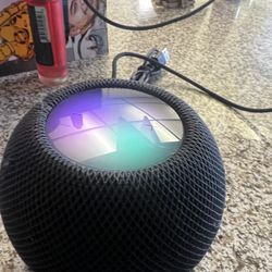 Apple Home Pod